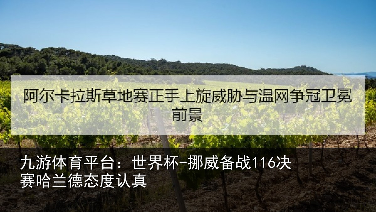 九游体育平台:世界杯-挪威备战116决赛哈兰德态度认真