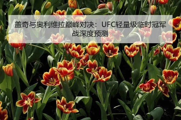 盖奇与奥利维拉巅峰对决：UFC轻量级临时冠军战深度预测