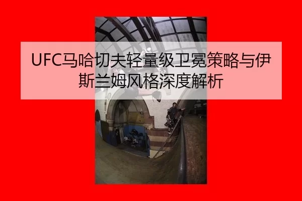ma-ha-qie-fu-qing-liang-ji-wei-mian-ce-lve-yu-yi-si-lan-mu-feng-ge-shen-du-jie-xi-3-572.jpg
