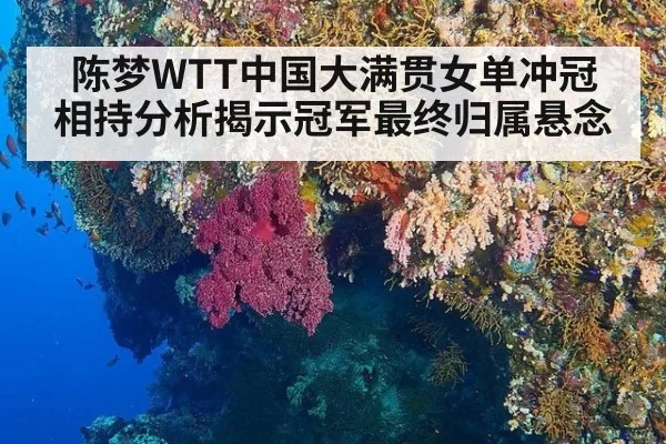 陈梦WTT中国大满贯女单冲冠 相持分析揭示冠军最终归属悬念